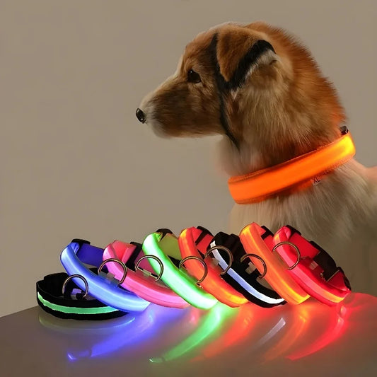 LED Dog Collar - Night Safety Glow